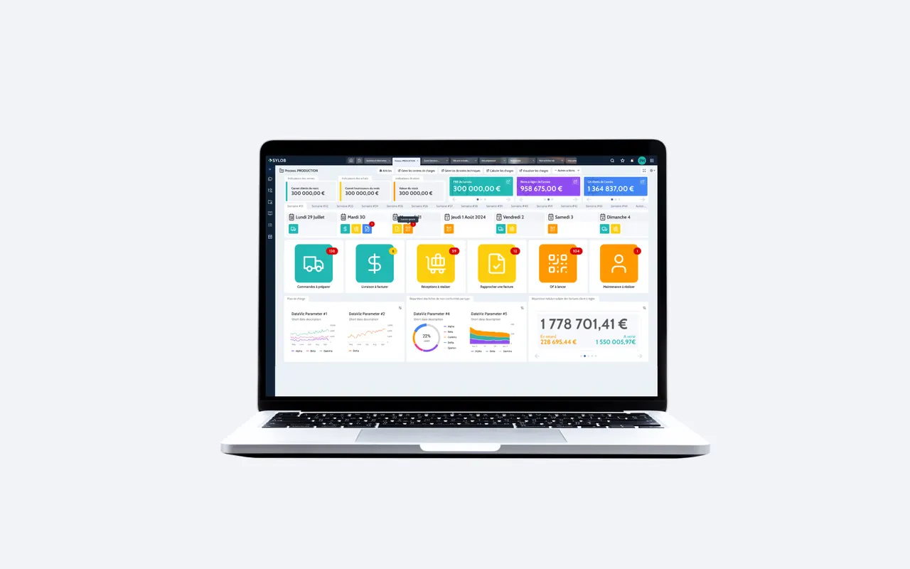 Interface de l'ERP Sylob